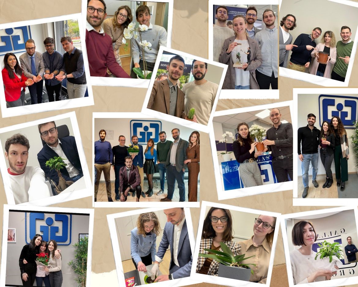 caratteristiche del home care manager