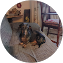 Barbara Mannucci profile picture