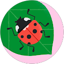 Crina Chiriac profile picture